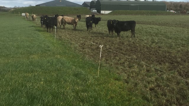 BPS payments reduced because of non-compliant rule - can farmers appeal?