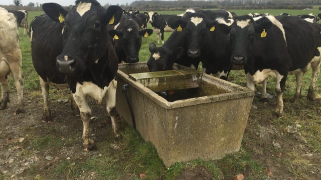 'Not measuring grass is like driving a tractor without diesel'