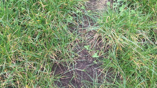 Soil analysis shows much work to be done on improving soil condition