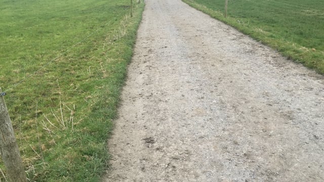 Maintaining farm roadways for lameness prevention