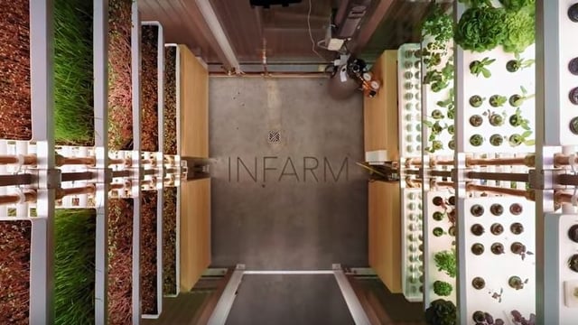 A supermarket is growing its own vegetables - in the aisle!