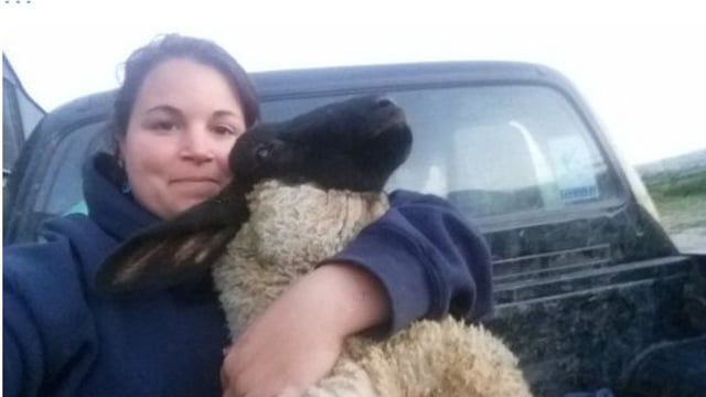 'Carry on designing kitchens or take over managing the farm?'