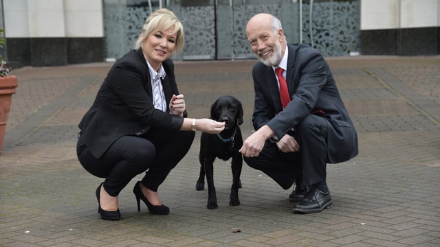 Tougher sentencing for those found guilty of animal cruelty in the North