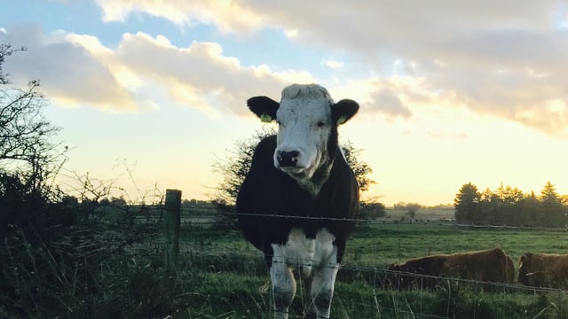 Farm partnerships eligibity for disadvantage payments clarified