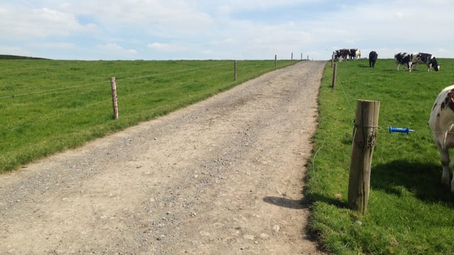 Scottish government creates 'starter farms' for new entrants