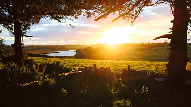 Growth to accelerate this week as parts of the country remain completely dry - Met Eireann