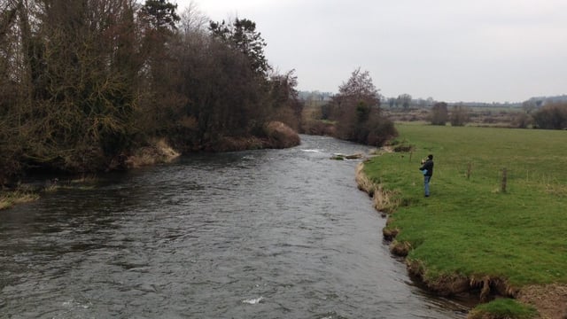 Co Armagh farmer fined £1,000 for 'grossly' polluting waterway