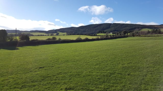 'Strong US interest in Irish rural properties'