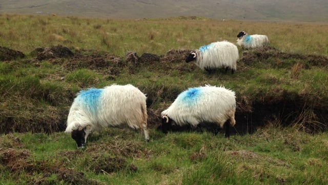 Calls for land designation deal to be reopened