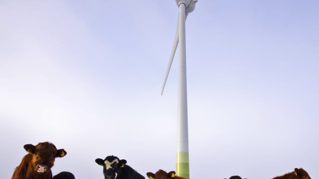 Will wind turbines negatively impact on the price of your property?