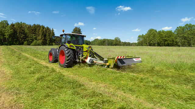 Should I graze or mow my second-cut silage paddocks?