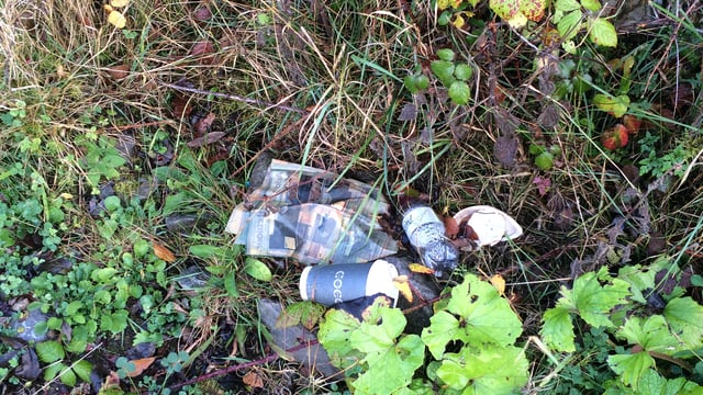 1 in 5 litter louts admit to leaving waste in the countryside in last 3 months