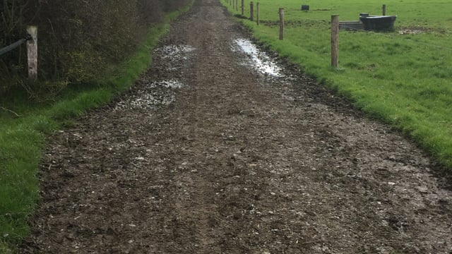 New schemes could be on the horizon for farmers to reduce emissions