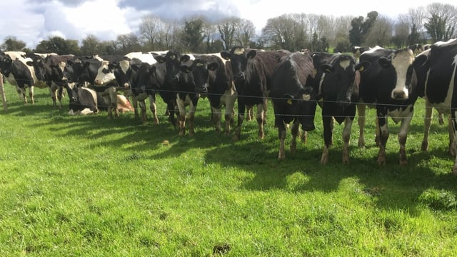 'We've nearly been hit with everything and retailers dropping milk price is the last kick'