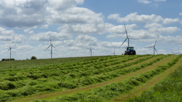 'Livestock perfectly happy and safe around wind turbines' - IWEA