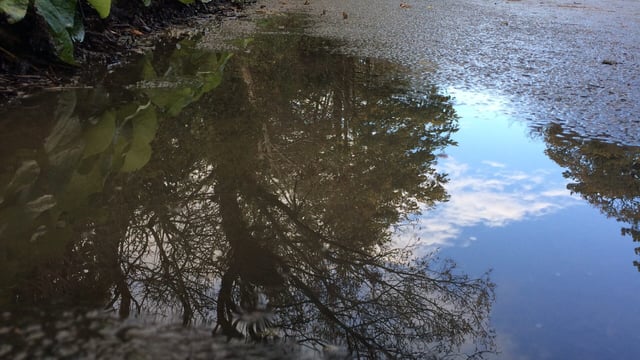 A cool, windy and unsettled week ahead - Met Eireann