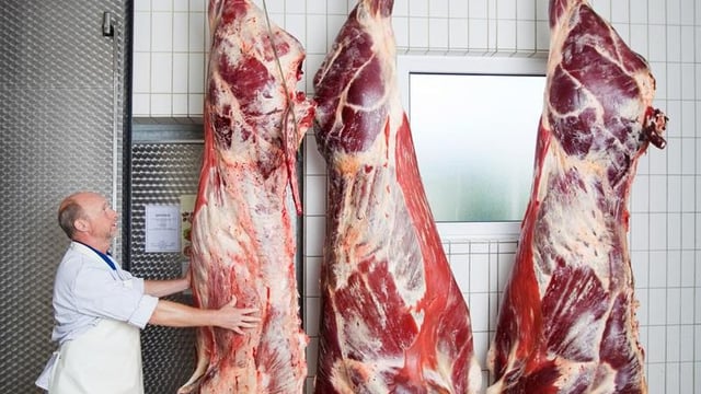 Beef cattle numbers on the rise in Ireland, Northern Ireland and Britain
