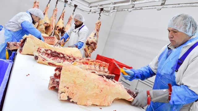 710 employment permits issued for meat sector - but just 10 for dairy