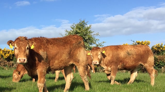 How much is the latest beef agreement worth to farmers?