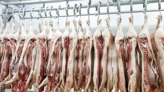 French competition authority issues €93 million fine to 'cartel' in pork sector