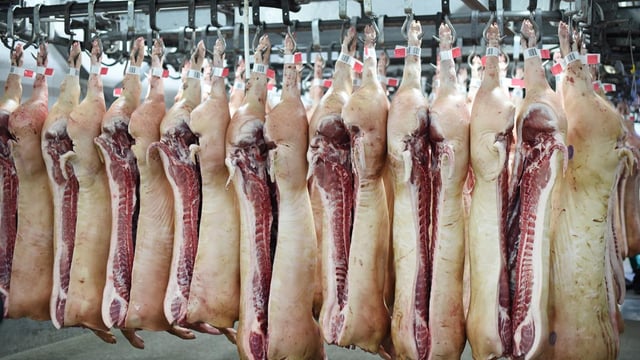 Midlands farmer labels pig price battle as 'race to the bottom'