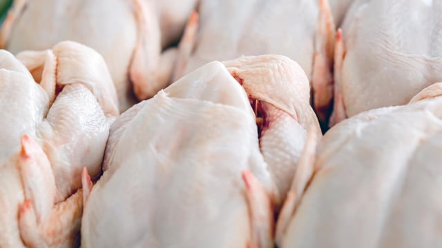 EU agrees 'whopping quota' of 180,000t of additional poultry in Mercosur deal