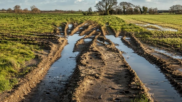 A wet start to the week but less unsettled weather on the way - Met Eireann