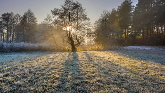 Cold this weekend but dry weather is on the way - Met Eireann