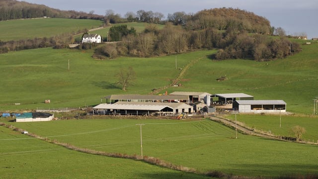 Table: GLAS accounts for lion's share of 2019 agri scheme appeals