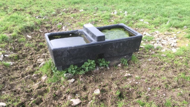 Testing your cows' drinking water quality