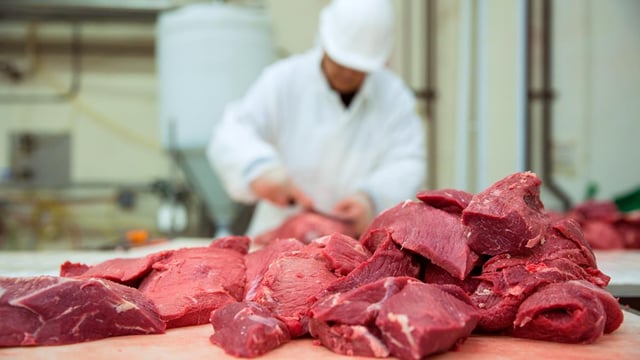 Beef trade: Factories continue to quote 340c/kg in the main