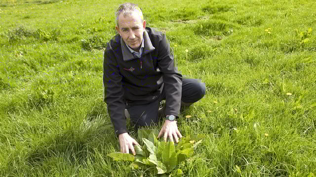 Will contractor spraying become the 'norm' within grassland sector?