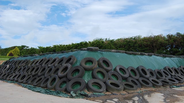 Over rolling high moisture grasses will knock silage quality for six