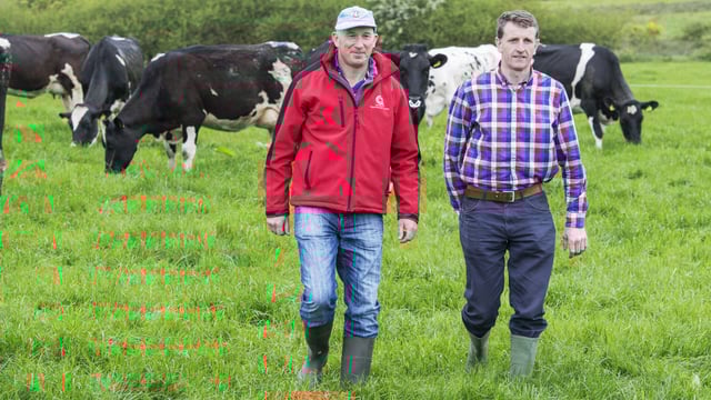 Dairygold announces the winner of its 2015 Milk Quality Awards