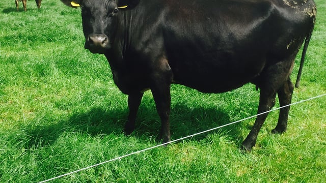 Is annual soil testing necessary on heavily stocked farms?