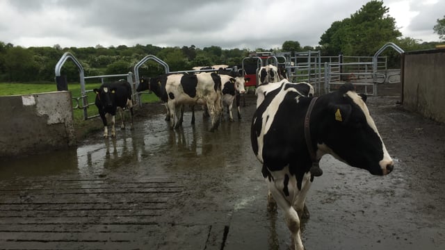 First processor announces milk price for April supplies