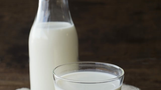Domestic milk intake experiences an 8.3% increase