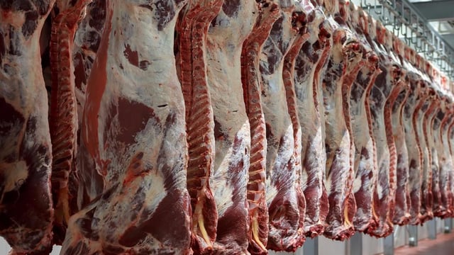Brazilian beef scandal fails to lift Irish prices (just yet)