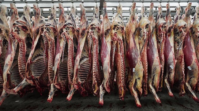 'Irish Beef Producers' entity almost over the line