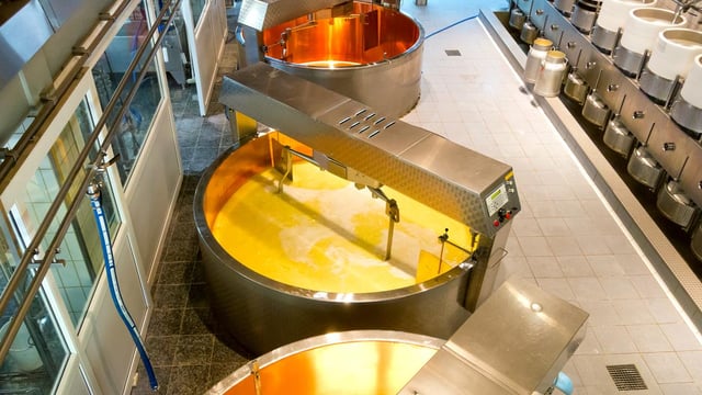 Irish dairy 'likely to face post-Brexit trade penalties'