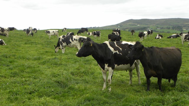 Grass advice: 'Do not wait to spread because of an extension to the fertiliser deadline'
