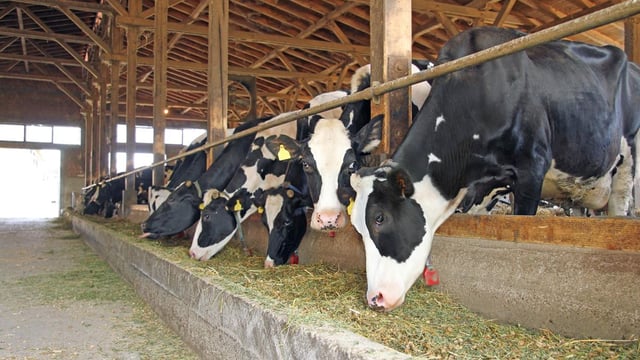 Australian dairy farmers to receive €357m in support