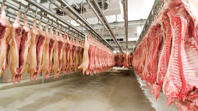 What is DAFM's new meat and bonemeal scheme?