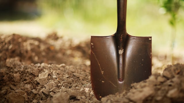Horticulture gets over €5m in funding from new Government