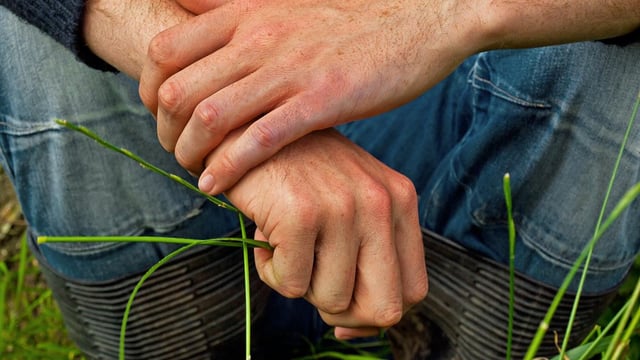 Farming and forestry have the highest suicide rates - Study finds