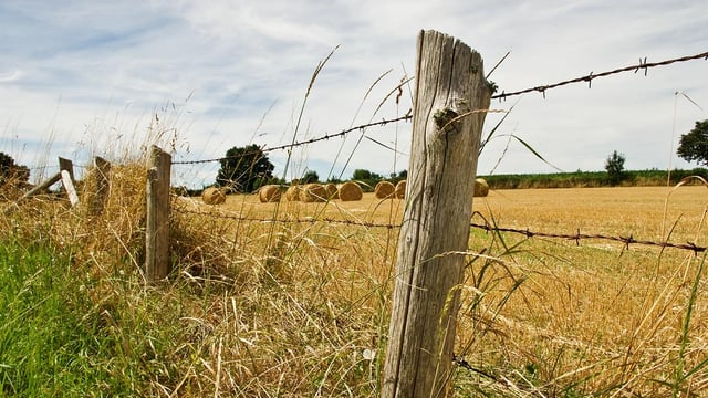 Fears of new CAP being 'disadvantage to those actually farming'