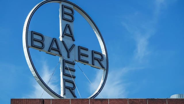 Is Bayer preparing to buy Monsanto?
