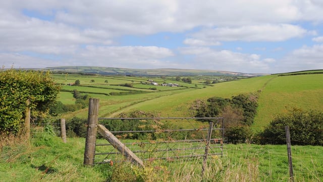Dairy and beef cow numbers increase in Northern Ireland