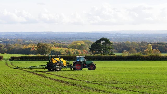 Weed control in spring barley: the need to use herbicides effectively