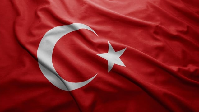 Live export of Irish cattle to Turkey moves closer